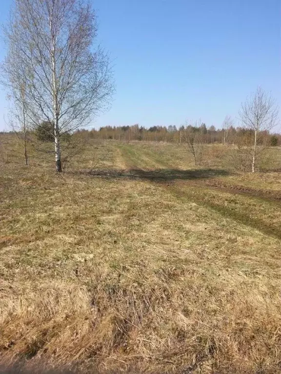 Участок в Нижегородская область, Богородский район, с. Хвощевка ... - Фото 1