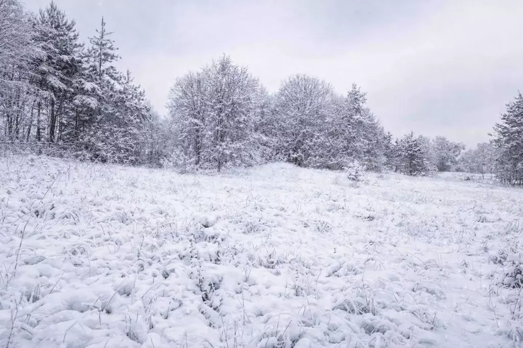 Участок в Московская область, Наро-Фоминский городской округ, д. ... - Фото 1