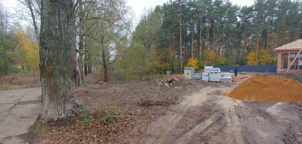 Участок в Московская область, Домодедово городской округ, с. Растуново ... - Фото 1