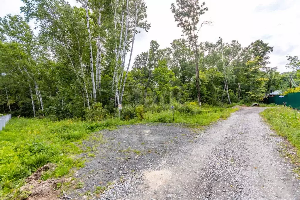 Участок в Хабаровский край, Хабаровский район, с. Корсаково-2, Лесовод ... - Фото 2