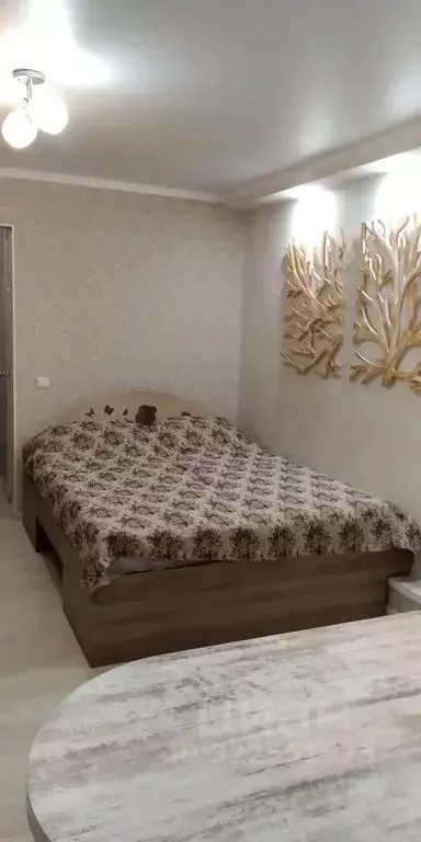 Студия Ставропольский край, Железноводск ул. Ленина, 8 (24.0 м) - Фото 2