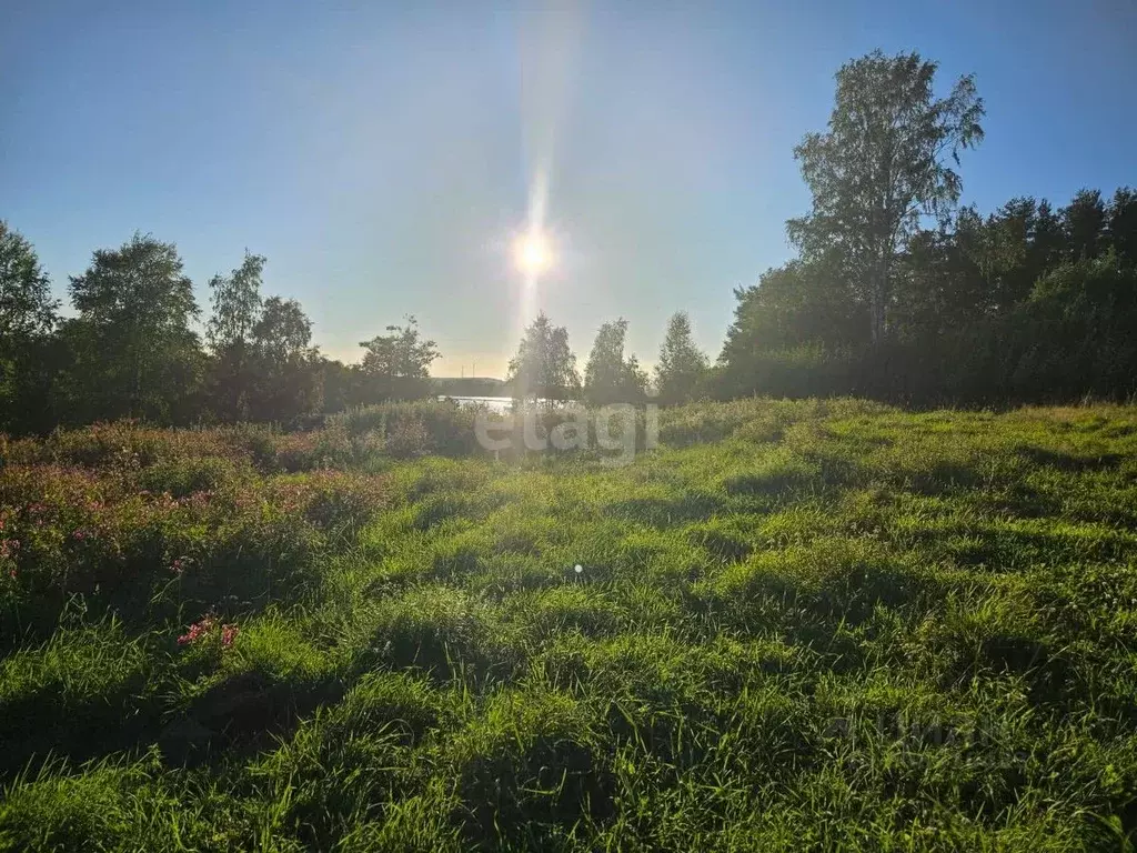 Участок в Карелия, Пряжинский район, пос. Эссойла  (7.7 сот.) - Фото 0