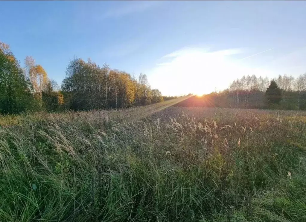 Участок, 2880 сот., фермерское хоз-во - Фото 0