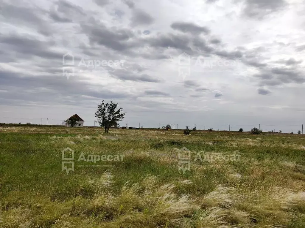 Участок в Волгоградская область, Волгоград ул. Краснодарская (8.0 ... - Фото 1