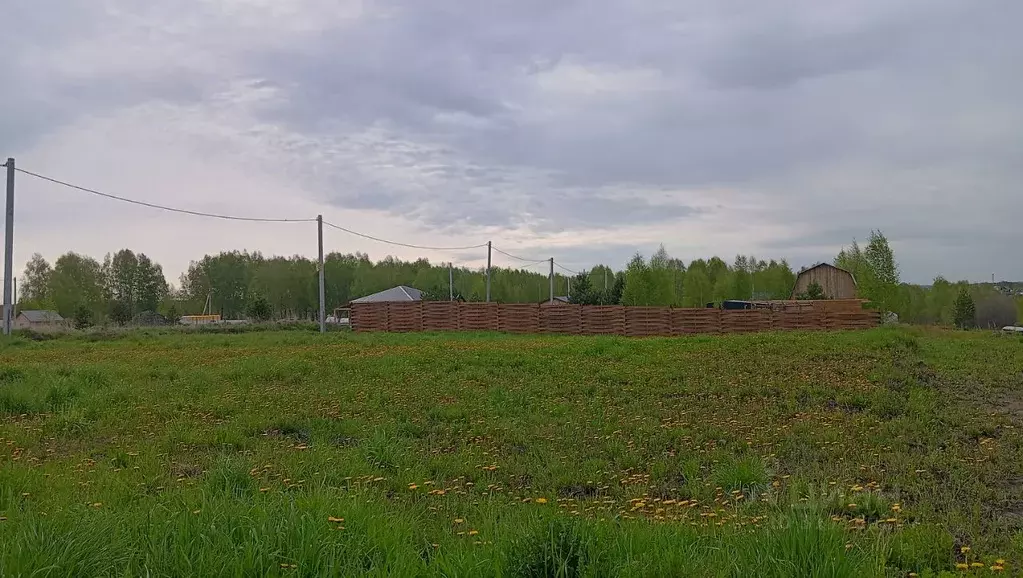 Участок в Томская область, Томский район, д. Новомихайловка, Кедры ДНП ... - Фото 1