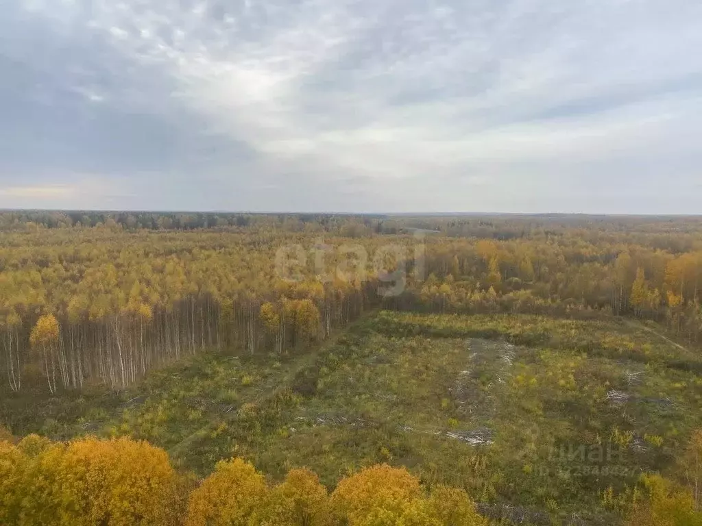 Участок в Костромская область, Кострома Волгореченское ш. (70.0 сот.) - Фото 0