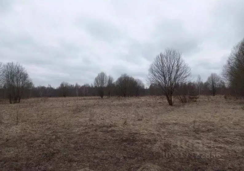 Участок в Московская область, Дмитровский муниципальный округ, д. ... - Фото 1