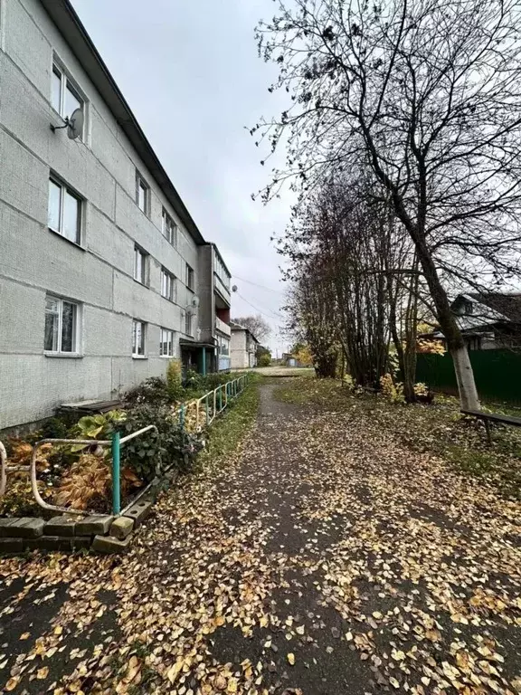 2-к кв. Тверская область, Рамешки пгт ул. Советская, 62 (48.9 м) - Фото 1