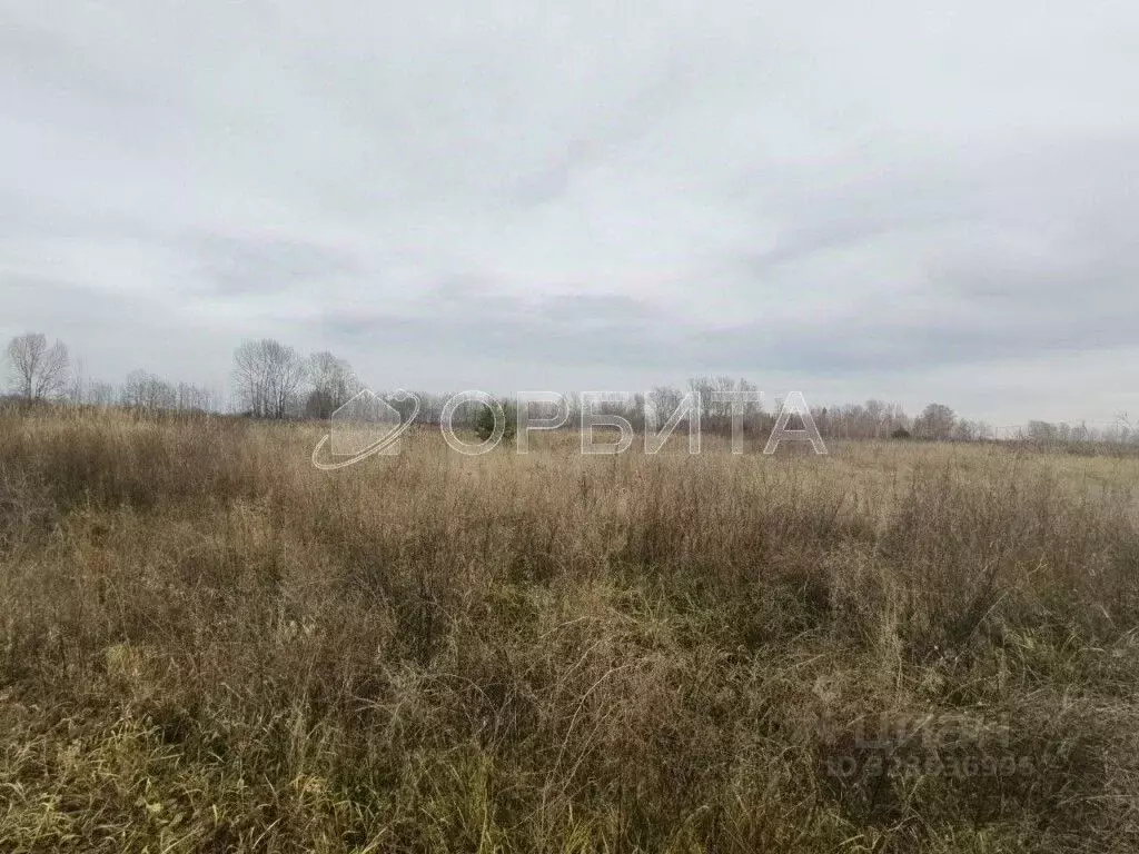 Участок в Тюменская область, Тюменский муниципальный округ, ... - Фото 2