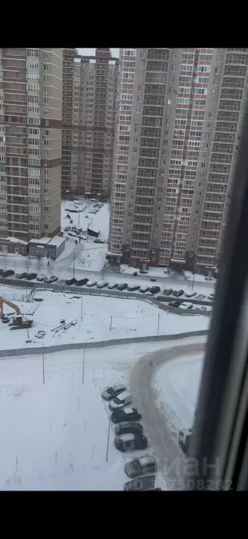 Студия Московская область, Балашиха Алексеевская Роща мкр, Новая ... - Фото 2