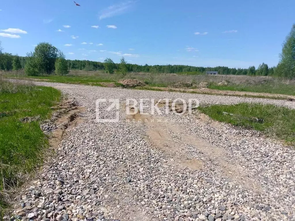 Участок в Костромская область, Кострома ул. Рыбацкая (12.0 сот.) - Фото 2