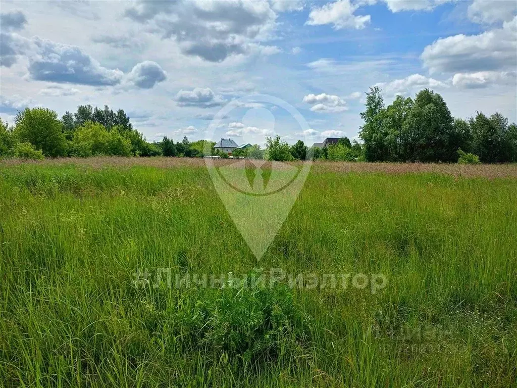 Участок в Рязанская область, Спасский муниципальный округ, с. ... - Фото 1