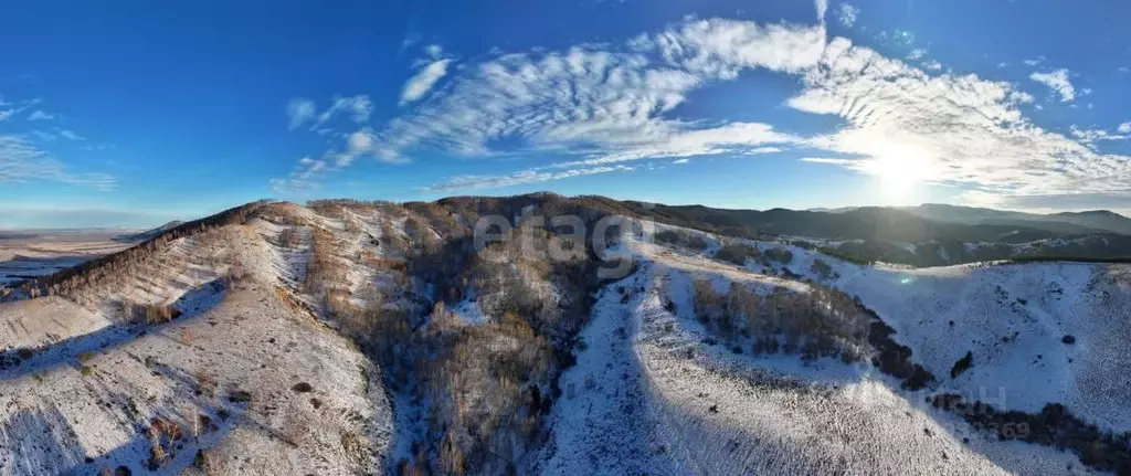 Участок в Алтайский край, Белокуриха Алтайская ул., 165 (239.2 сот.) - Фото 0