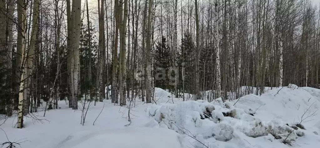 Участок в Ханты-Мансийский АО, Ханты-Мансийск  (10.0 сот.) - Фото 1