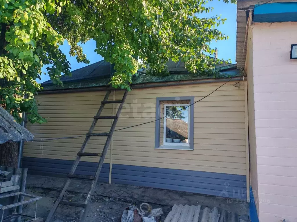Дом в Белгородская область, Вейделевка рп ул. Советская, 93 (59 м) - Фото 1