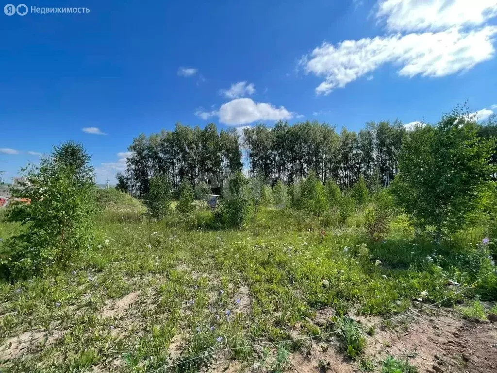 Участок в Лаишевский район, Никольское сельское поселение, село ... - Фото 2
