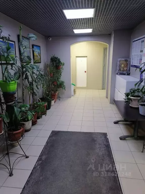 1-к кв. Москва, Москва, Московский г. Град Московский мкр, ул. ... - Фото 0