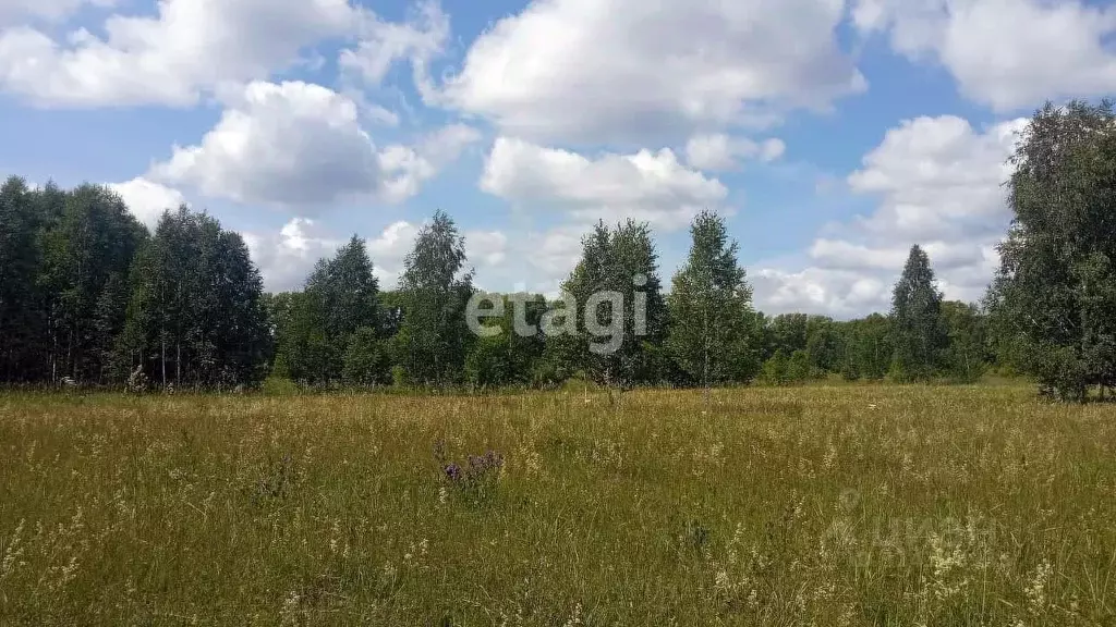 Участок в Новосибирская область, Новосибирский район, Барышевский ... - Фото 0