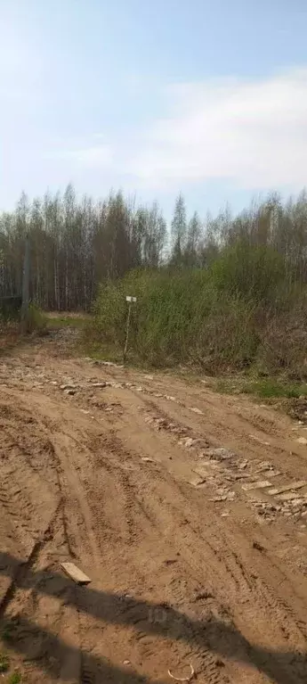 Участок в Ярославская область, Ярославль ул. Семейная, 16Б (6.9 сот.) - Фото 2