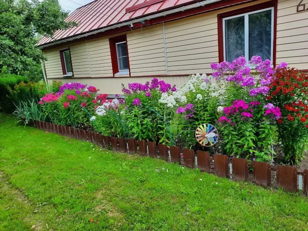 Дом в Псковская область, Порхов ул. Пушкина, 16 (47 м) - Фото 1