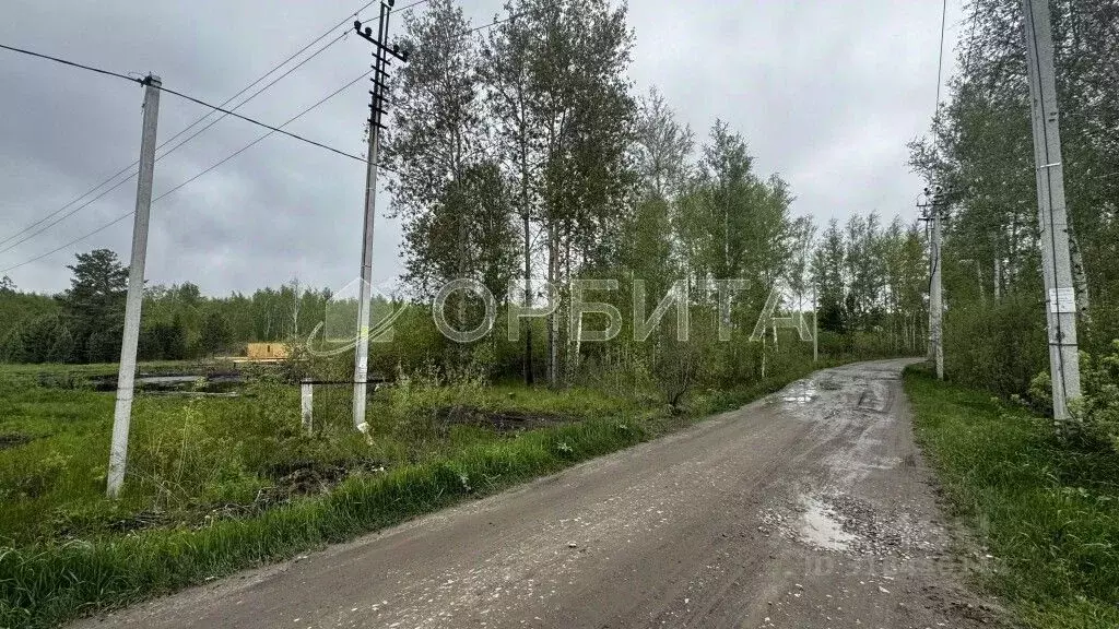 Участок в Тюменская область, Тюменский район, Лесник-2 СНТ ул. ... - Фото 1