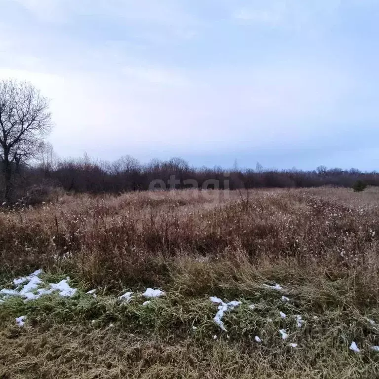 Участок в Свердловская область, Слободо-Туринский район, ... - Фото 0