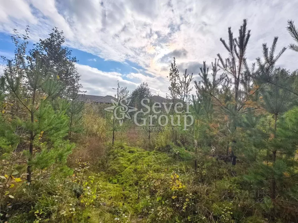 Участок в Ленинградская область, Всеволожский район, Агалатовское ... - Фото 1
