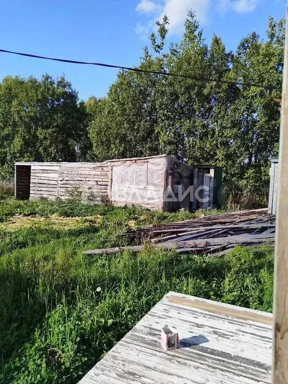 Участок в Ленинградская область, Гатчинский муниципальный округ, д. ... - Фото 1