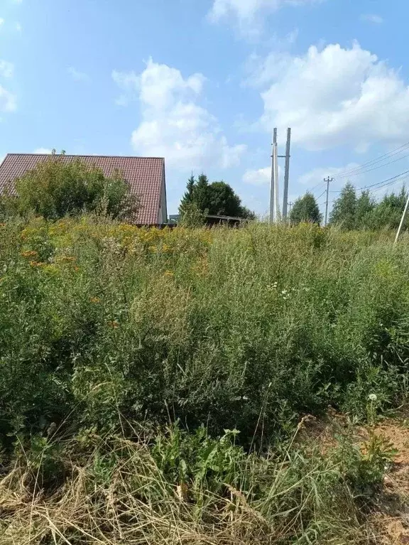 Участок в Московская область, Солнечногорск городской округ, д. ... - Фото 2