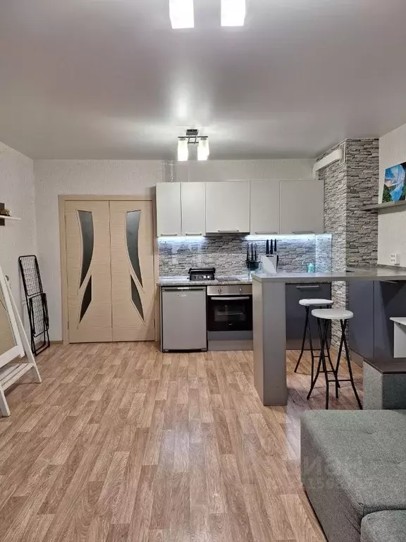 Студия Красноярский край, Красноярск ул. Петра Подзолкова, 3Б (33.2 м) - Фото 2