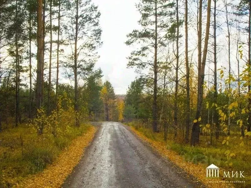 Участок в Татарстан, Зеленодольский район, Большеключинское с/пос, с. ... - Фото 1