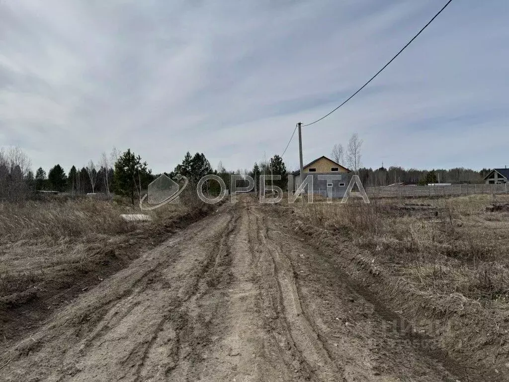 Участок в Тюменская область, Нижнетавдинский район, с. Тюнево ул. ... - Фото 1