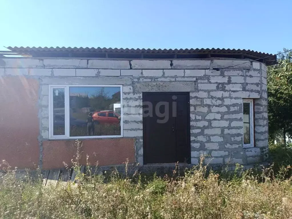 Дом в Белгородская область, Вейделевка рп ул. Есенина, 7 (45 м) - Фото 1