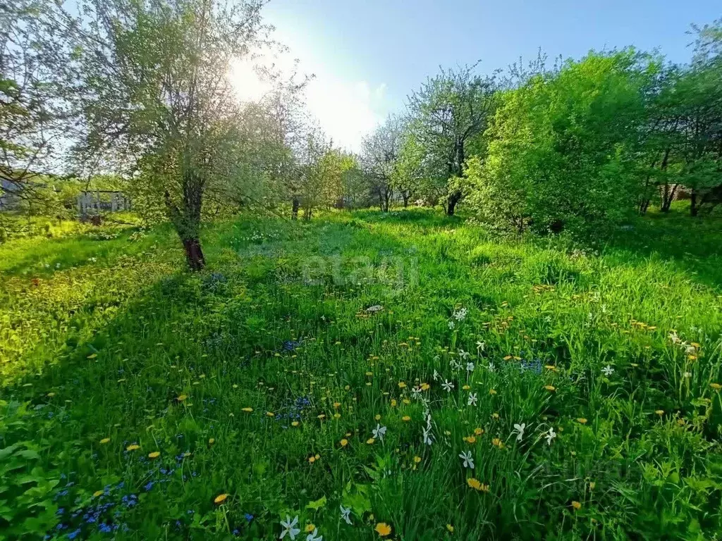 Участок в Нижегородская область, Нижний Новгород Дружба СНТ,  (6.0 ... - Фото 0