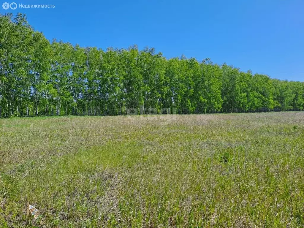 Участок в село Усть-Заостровка, 2-я Енисейская улица (15 м) - Фото 0