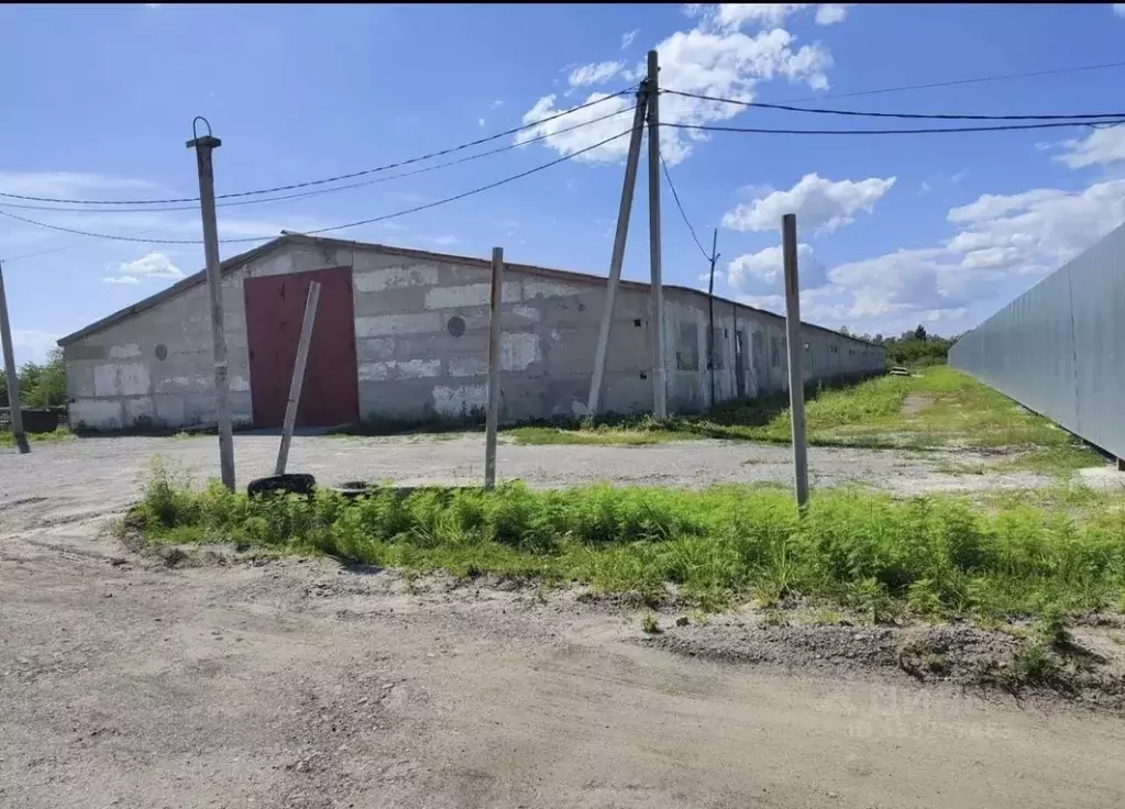 Склад в Ростовская область, Ростов-на-Дону Совхозная ул., 2а (2150 м) - Фото 2