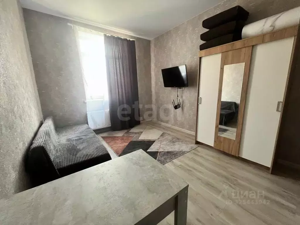 Студия Московская область, Раменское ул. Березовая Роща, 5 (22.8 м) - Фото 1