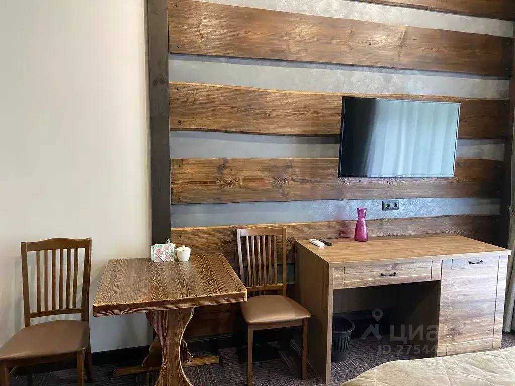 1-к кв. Челябинская область, Миасский городской округ, с. Сыростан ул. ... - Фото 2