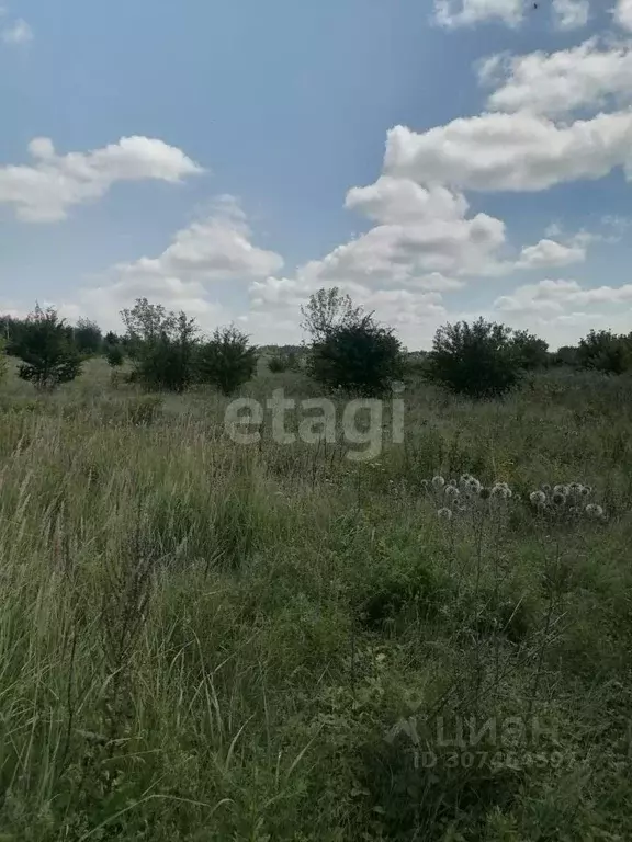 Участок в Липецкая область, Задонский район, Донской сельсовет, д. ... - Фото 0