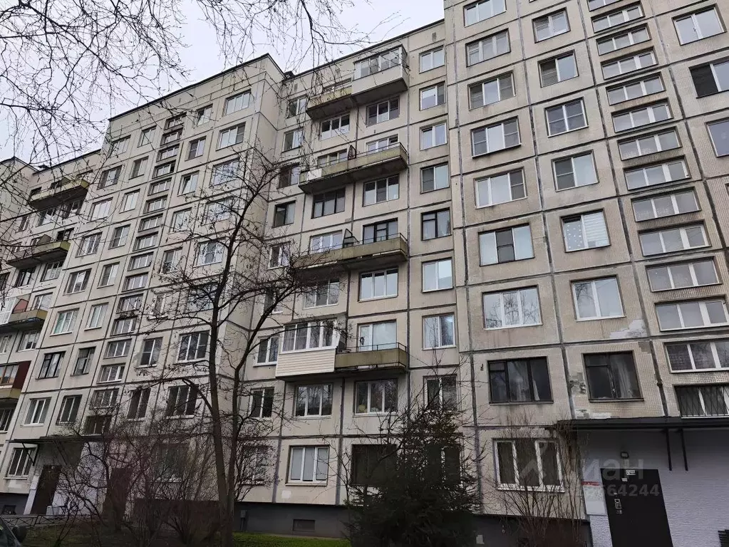 1-к кв. Санкт-Петербург Светлановский просп., 99К1 (31.0 м) - Фото 1