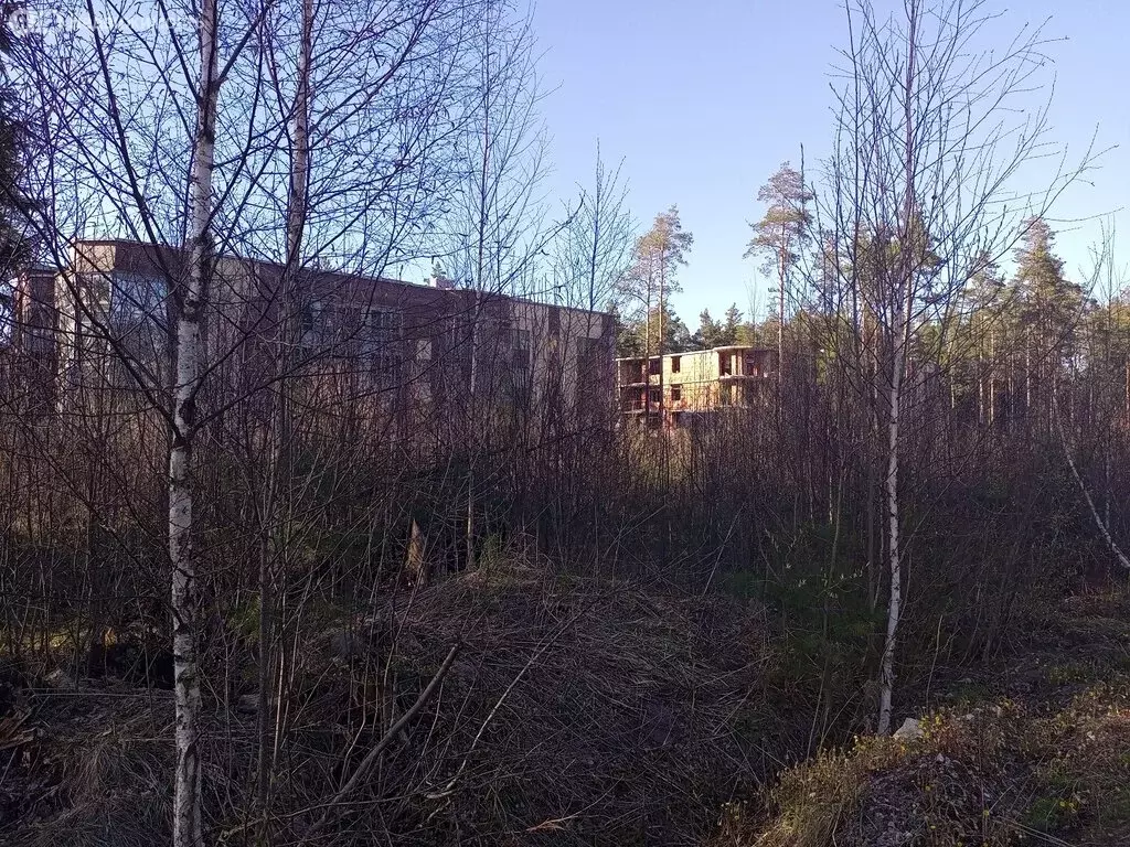 Участок в Всеволожск, улица Мужества (10 м) - Фото 0