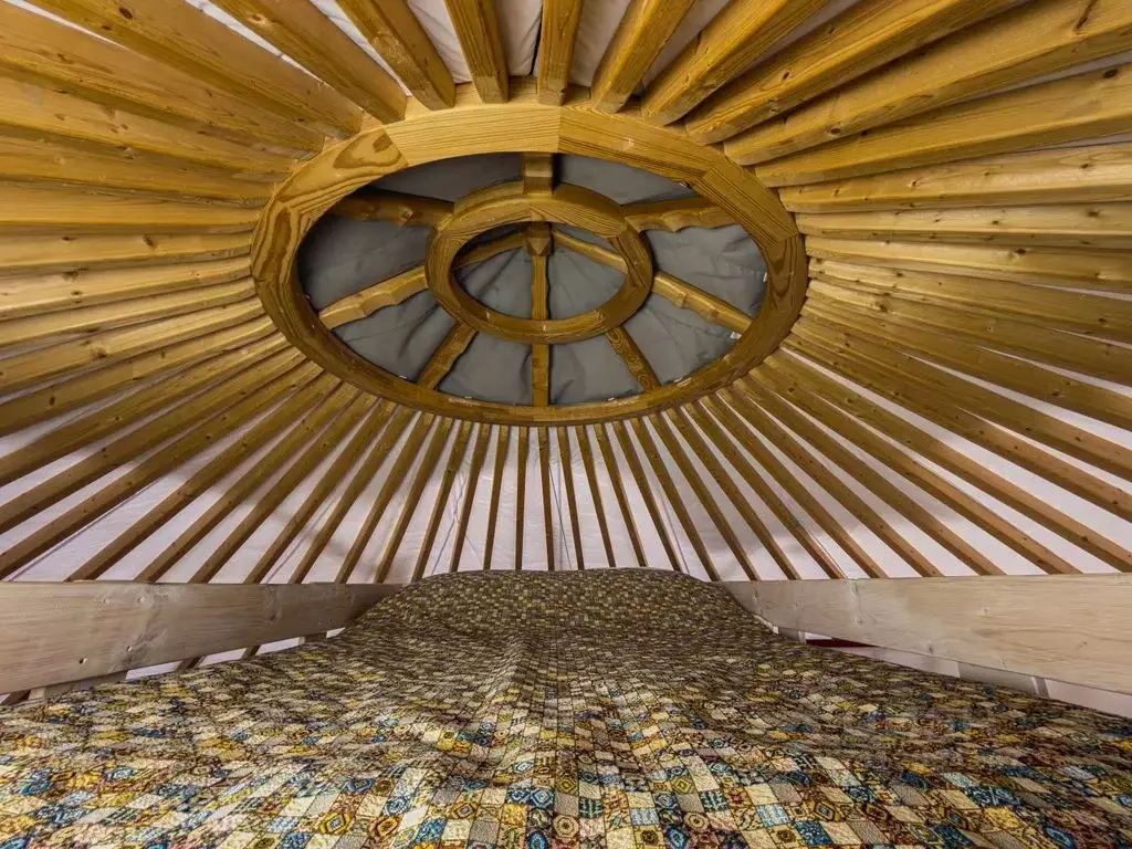 Дом в Калининградская область, Янтарный пгт ул. Облепиховая (28 м) - Фото 2