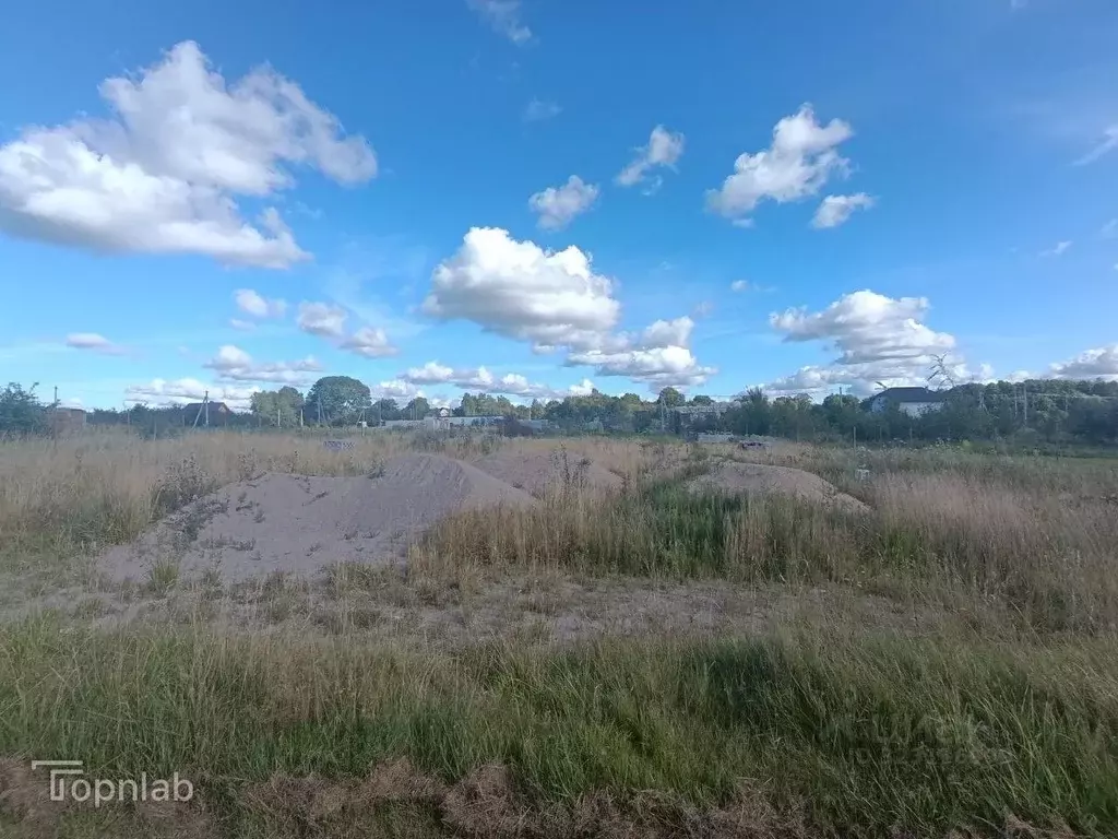 Участок в Калининградская область, Зеленоградский муниципальный округ, ... - Фото 2