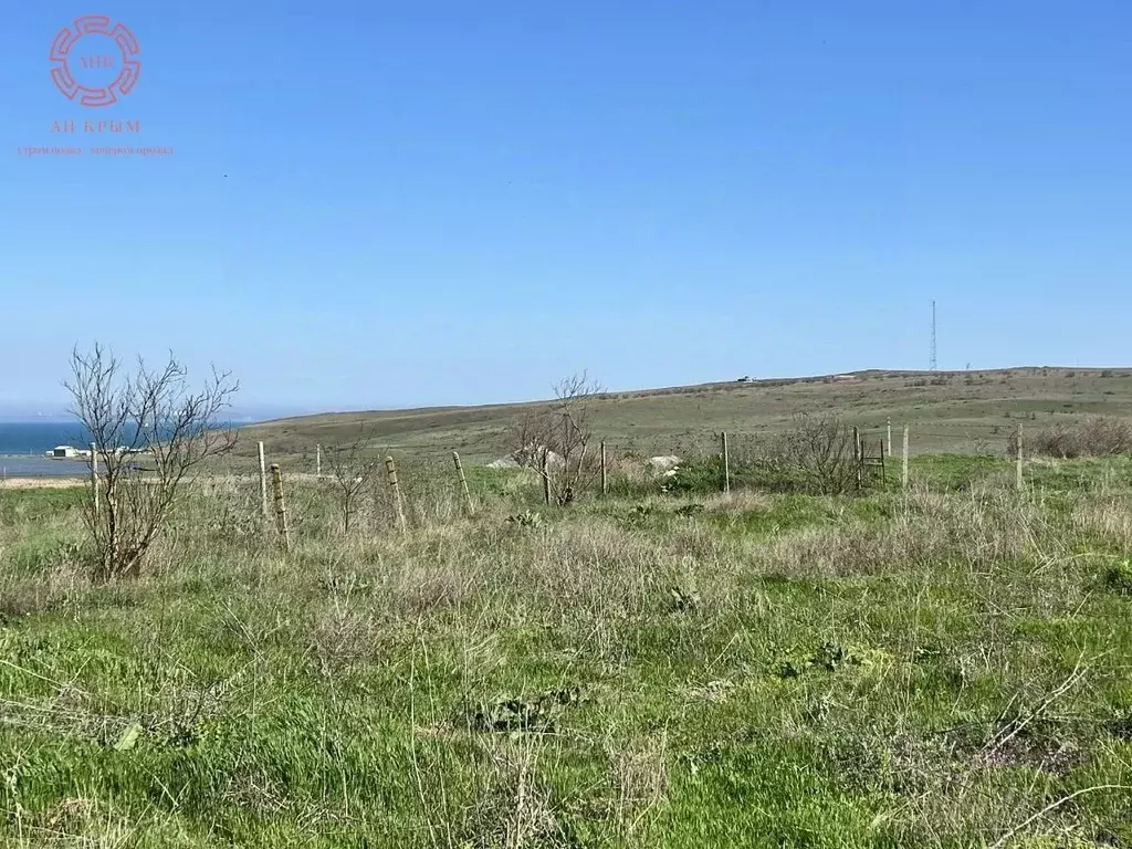 Участок в Крым, Ленинский район, Заветненское с/пос, с. Заветное  (9.0 ... - Фото 2