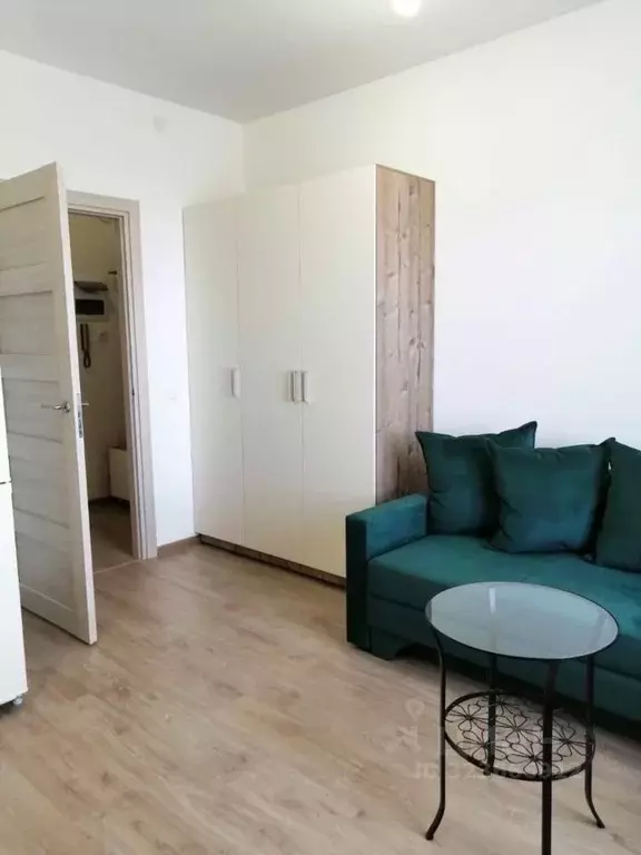 Студия Санкт-Петербург ул. Плесецкая, 20к1 (25.0 м) - Фото 2