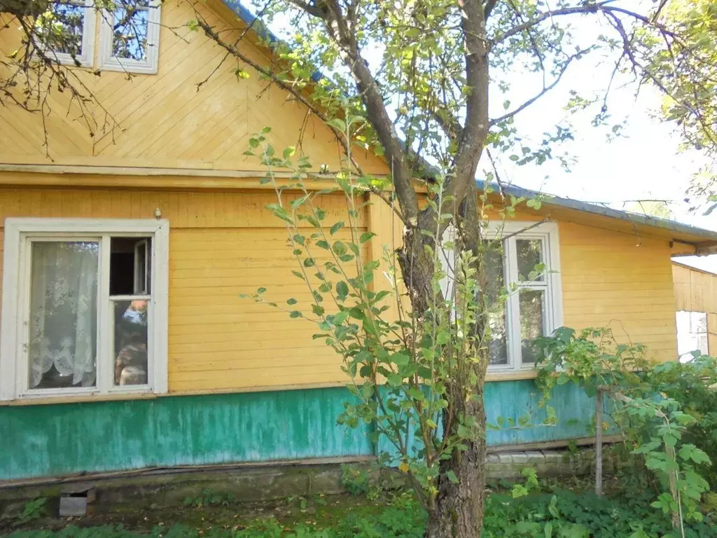 Дом в Ленинградская область, Лужский район, Толмачево городской ... - Фото 1