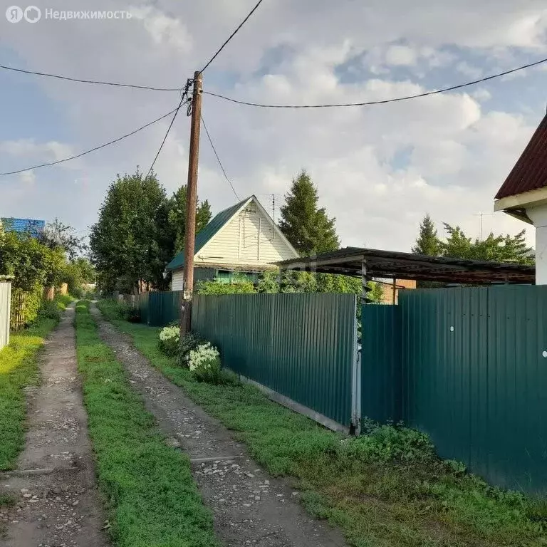 Дом в Искитимский район, Шибковский сельсовет (31.7 м) - Фото 1