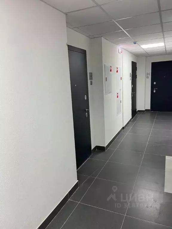 Студия Санкт-Петербург пос. Парголово, Заречная ул., 46к1 (21.0 м) - Фото 1
