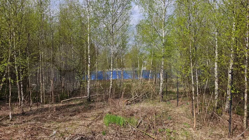 Участок 7,1 сот. (СНТ, ДНП) - Фото 1