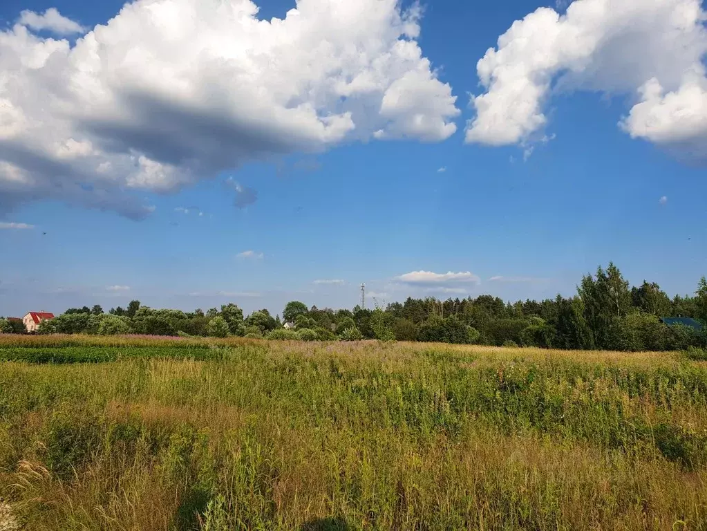 Участок в Ленинградская область, Гатчинский район, Вырица городской ... - Фото 1